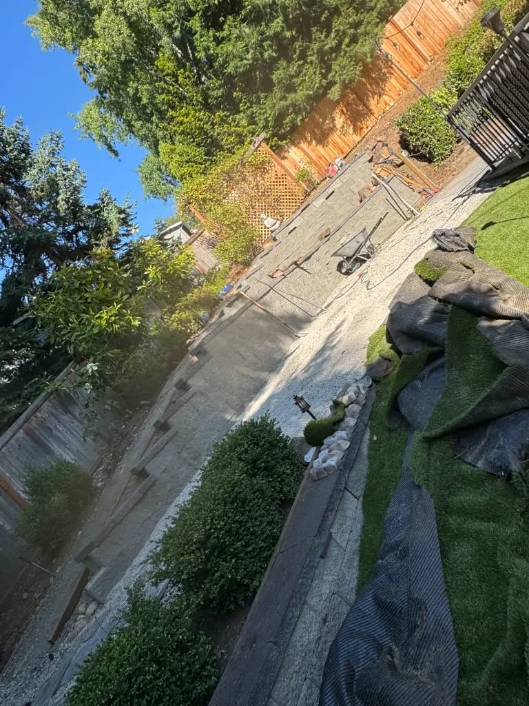 Side yard landscaping with stone path