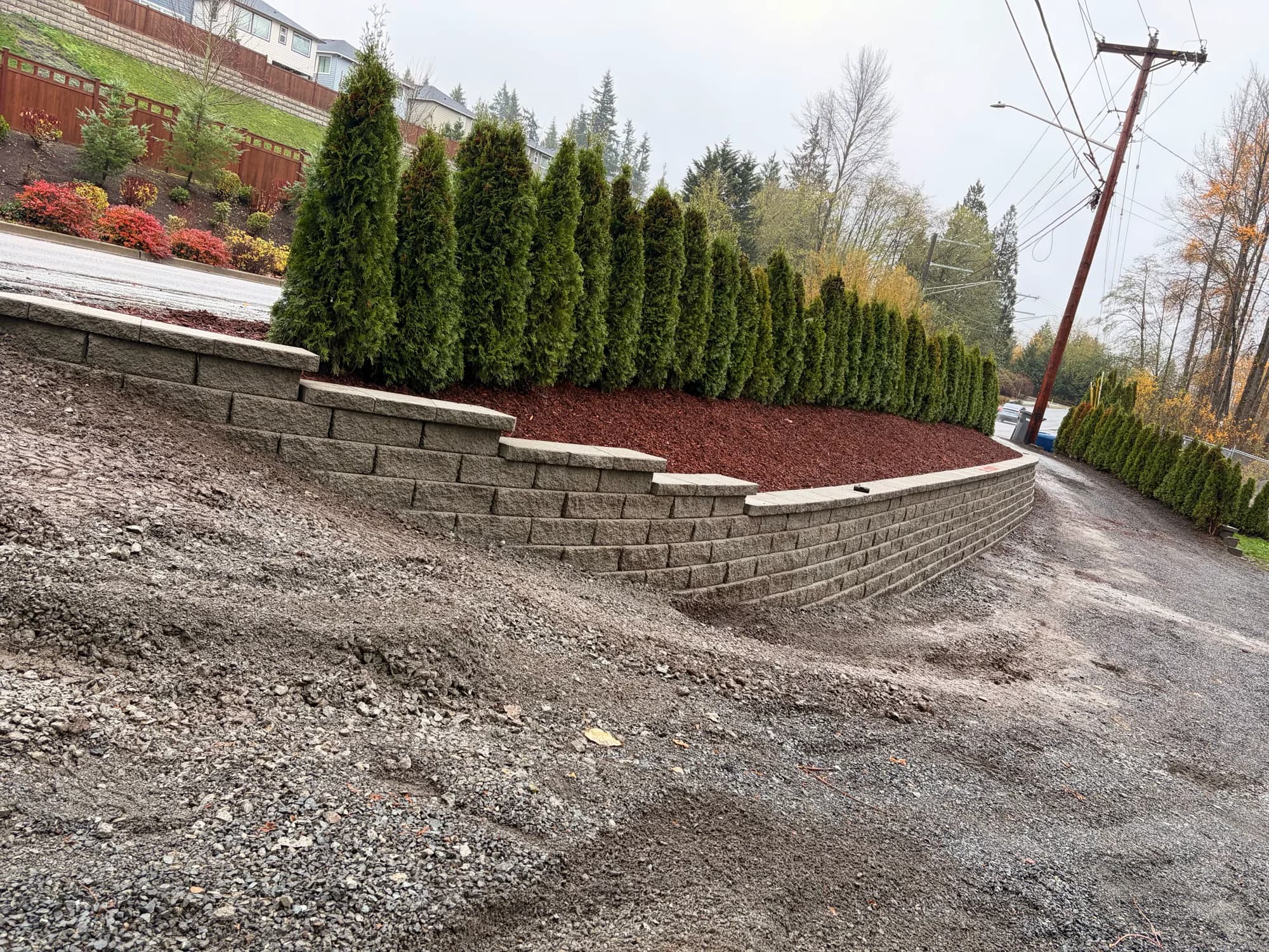 Curved retaining wall with Thuja privacy trees