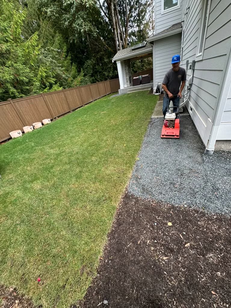 Worker installing sod with roller